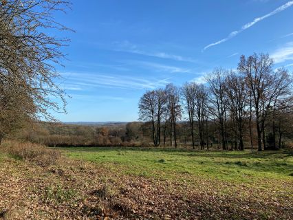 Vente terrain Saint Sulpice Le Guéretois Creuse