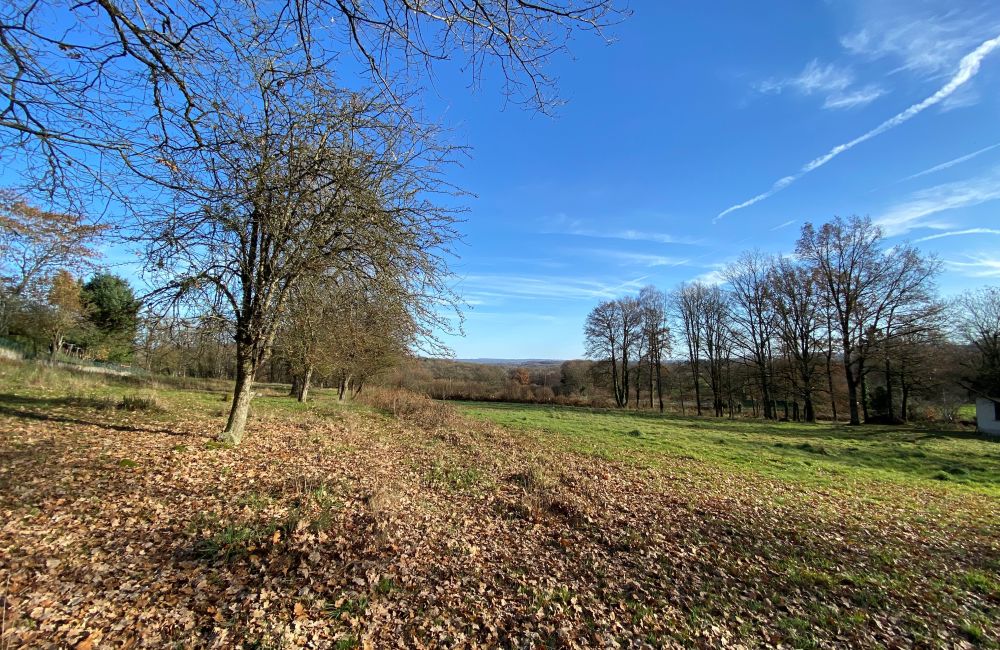 Vente terrain Saint Sulpice Le Guéretois Creuse