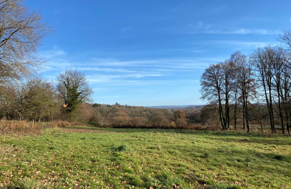 Vente terrain Saint Sulpice Le Guéretois Creuse