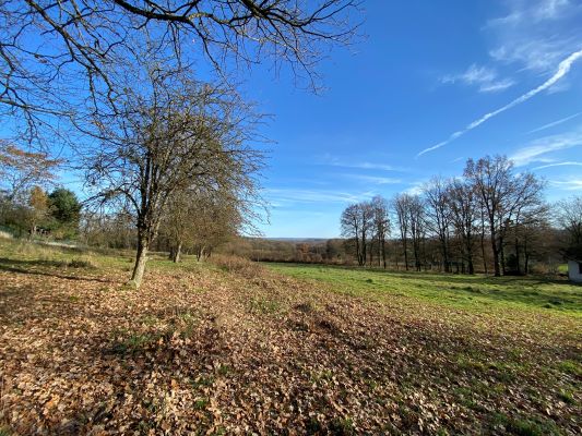 Vente terrain Saint Sulpice Le Guéretois Creuse