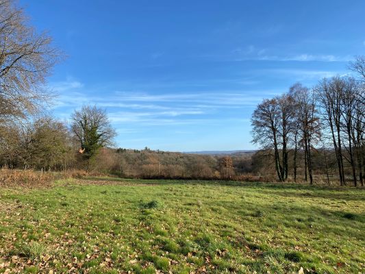 Vente terrain Saint Sulpice Le Guéretois Creuse